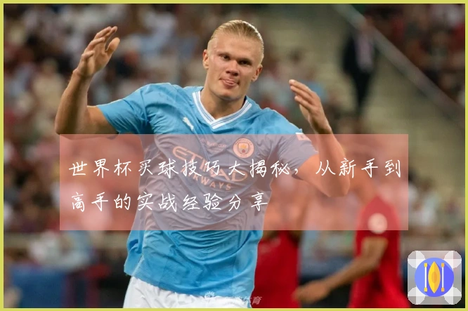 世界杯买球技巧大揭秘，从新手到高手的实战经验分享