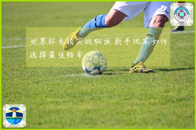 世界杯竞猜实战秘诀 新手玩家如何选择最佳赔率