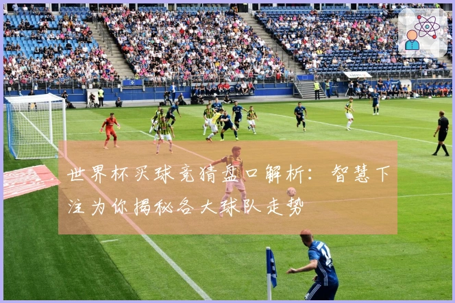 世界杯买球竞猜盘口解析：智慧下注为你揭秘各大球队走势