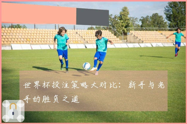 世界杯投注策略大对比：新手与老手的胜负之道