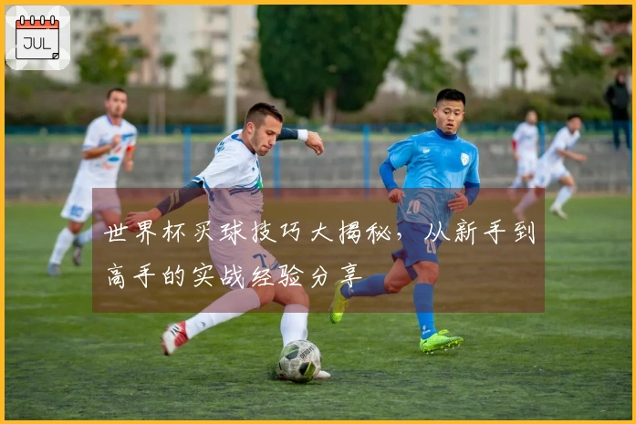 世界杯买球技巧大揭秘，从新手到高手的实战经验分享