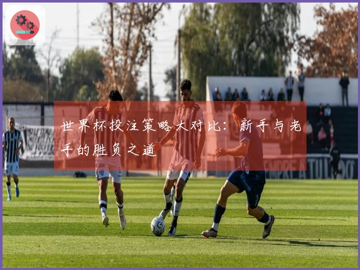 世界杯投注策略大对比：新手与老手的胜负之道