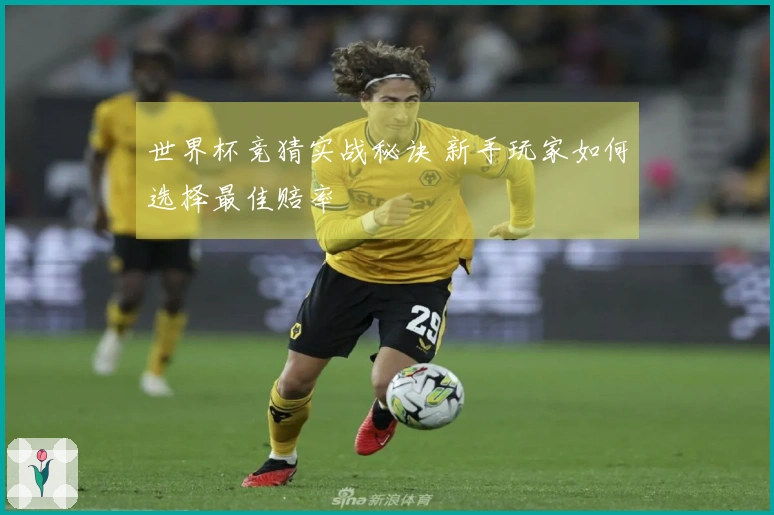世界杯竞猜实战秘诀 新手玩家如何选择最佳赔率